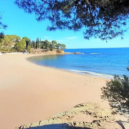 Acogedor Con Terraza A Un Paso De La Playa En - Es-170-26